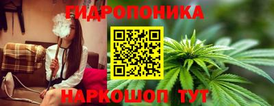 прущие крисы Краснокаменск